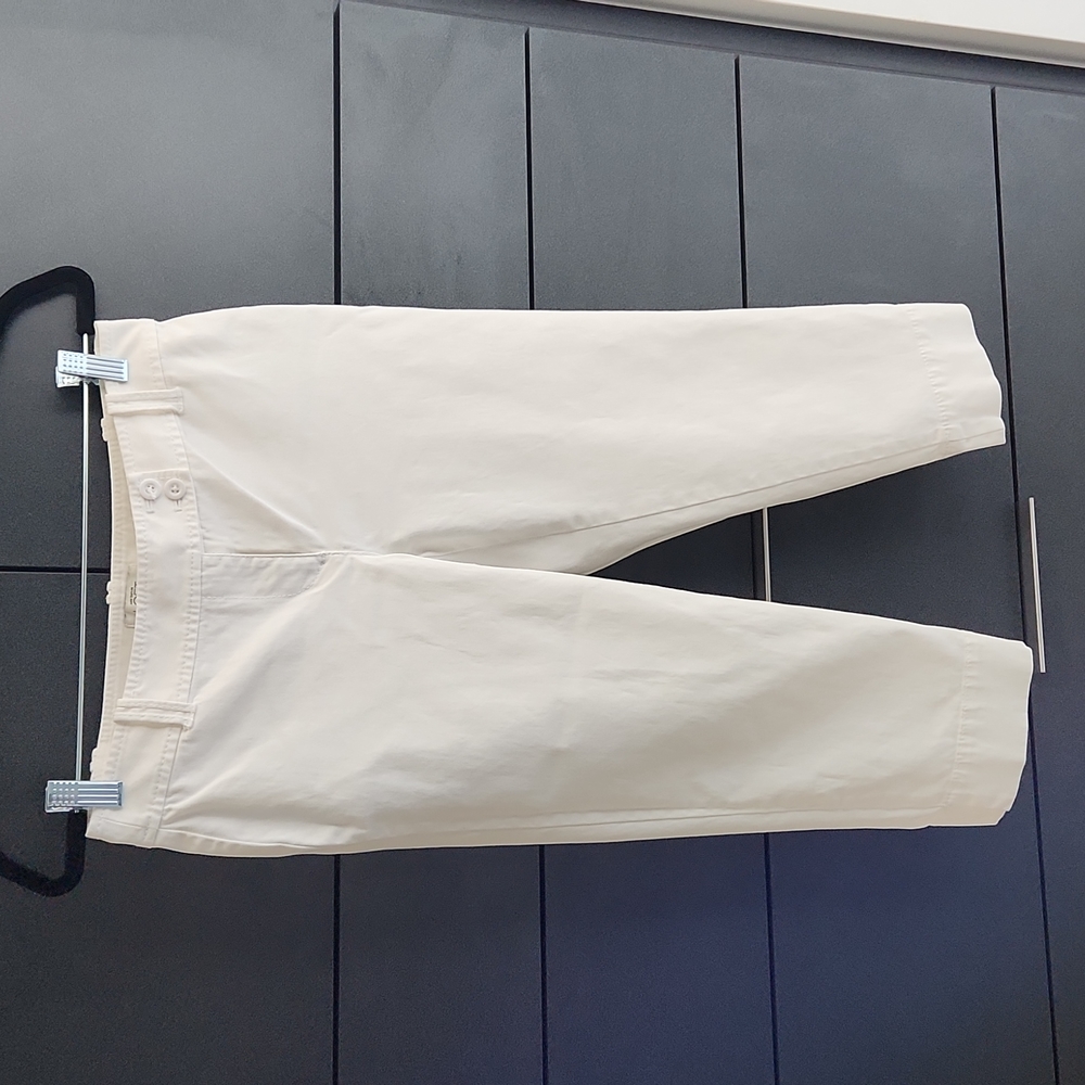 Ann Taylor Capris